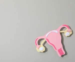 Navigating the Psychological Landscape of Infertility and the Vital Role of Specialized Reproductive Mental Health Care