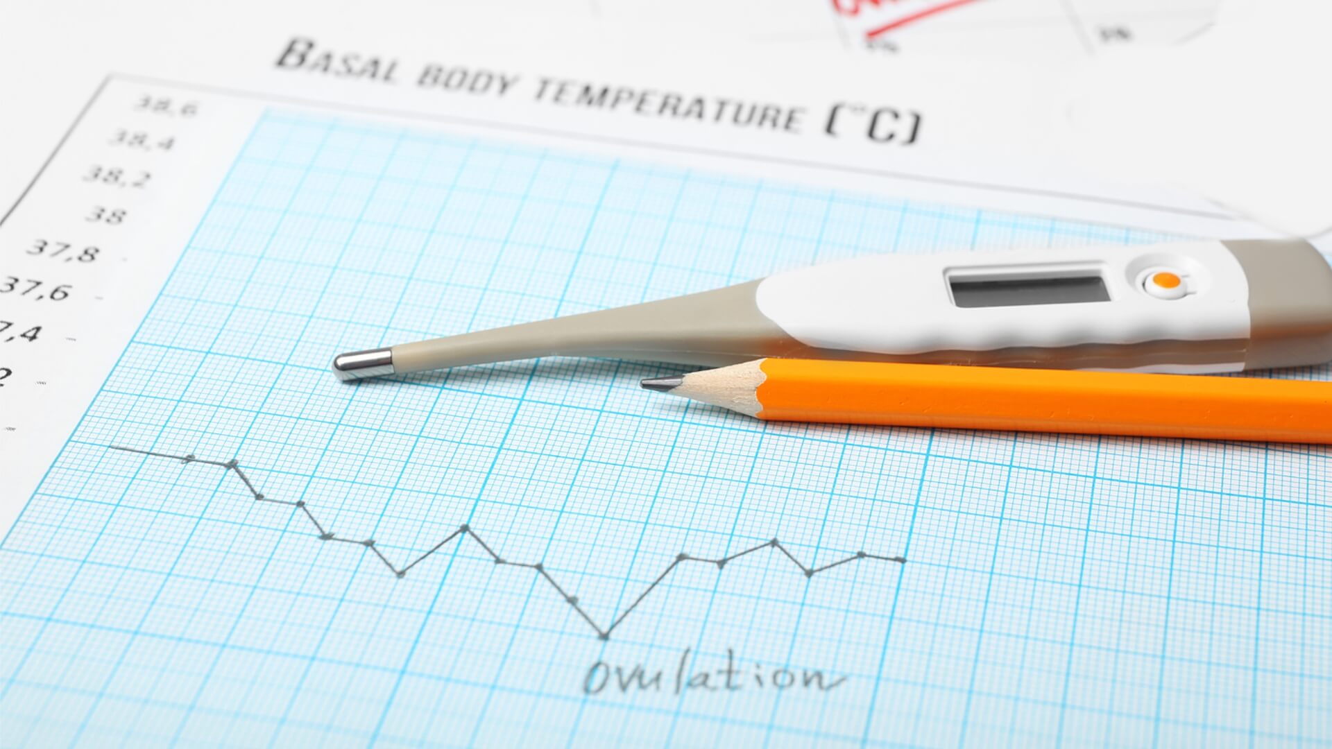 Strategies for Fertility Optimization and the Clinical Realities of the Global Trying to Conceive Journey