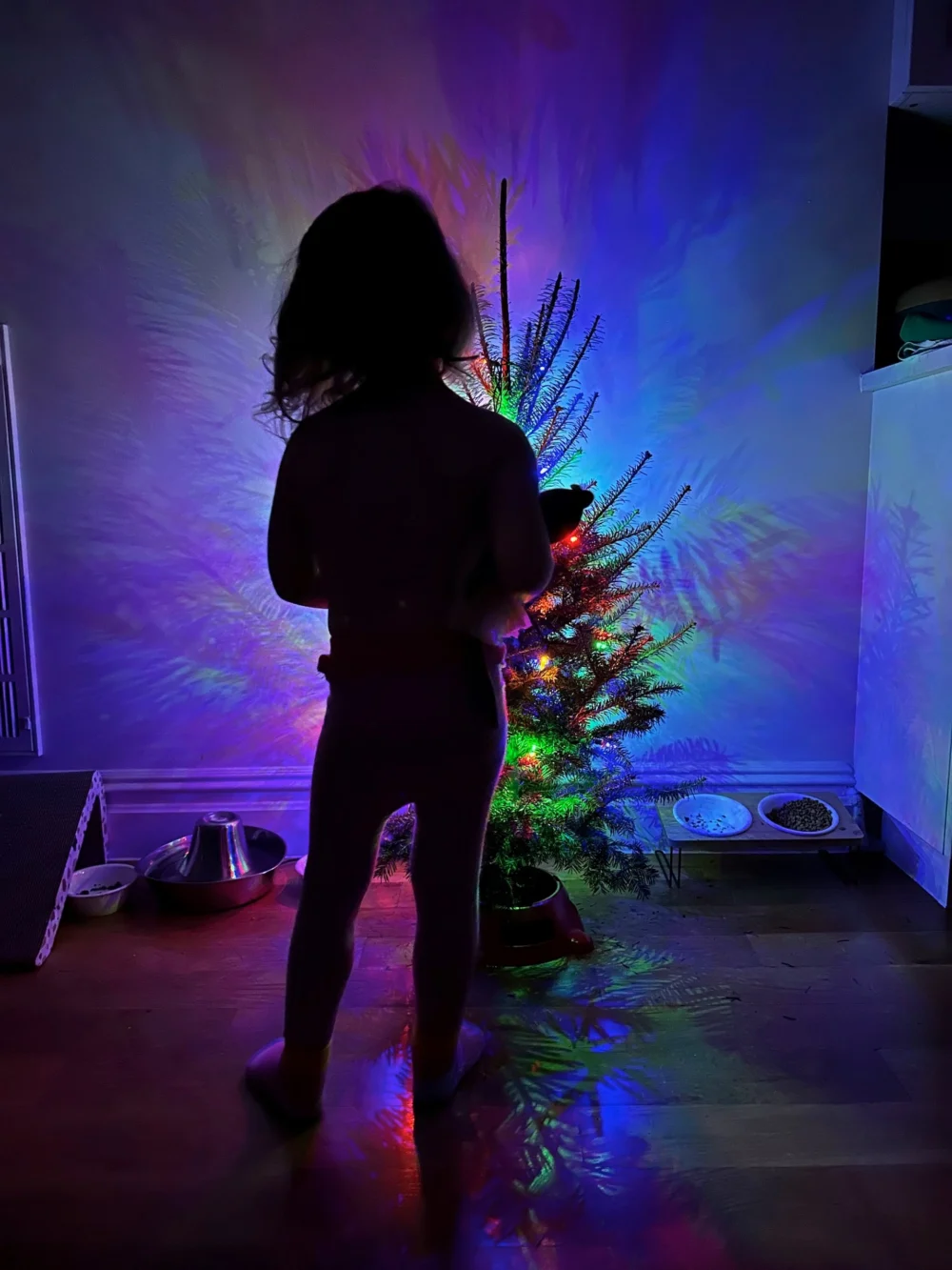 The Burden of the Bough: Analyzing the Rise of Decoration Guilt and the Socioeconomic Shift in Modern Holiday Traditions