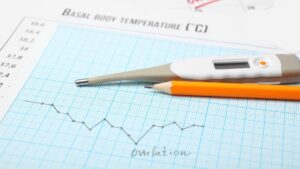 Comprehensive Clinical and Lifestyle Strategies for Optimizing Human Conception and Reproductive Health Outcomes