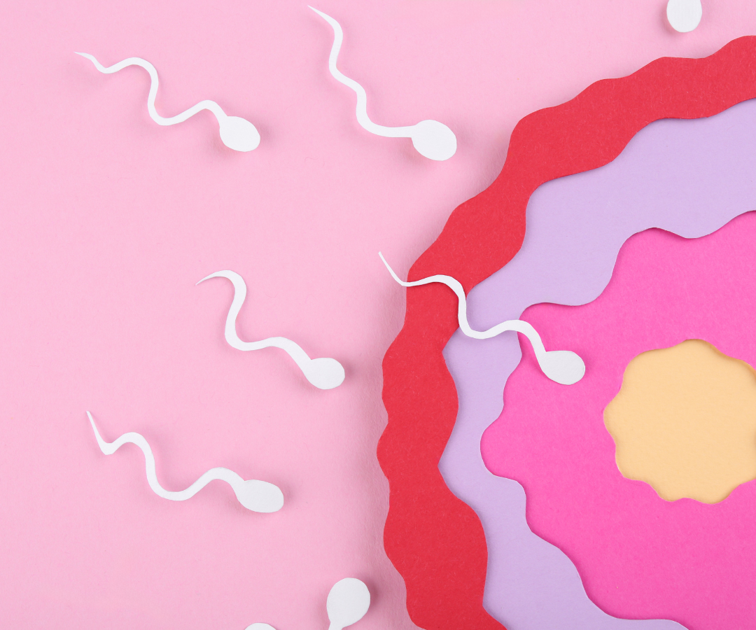 The Invisible Crisis Bridging the Gap Between Reproductive Medicine and Mental Health Support