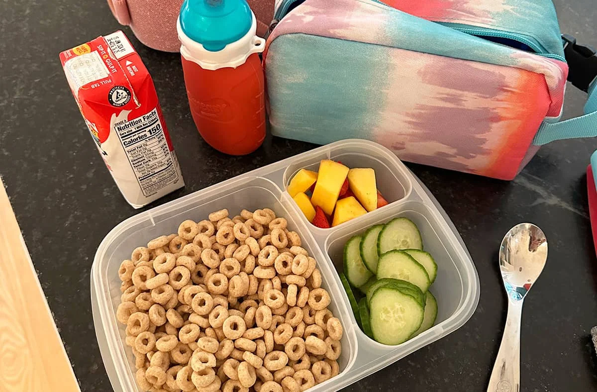 Real Life Summer Toddler Lunches and the Evolution of Digital Parenting Communities