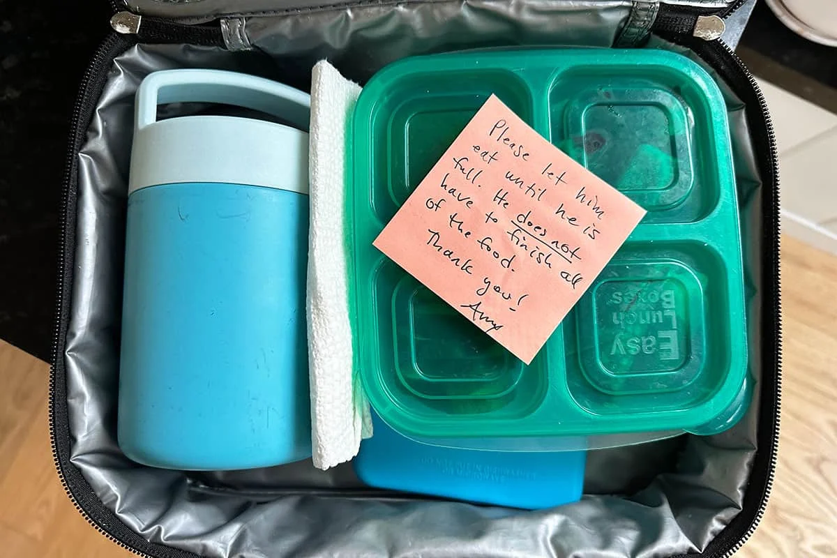 Institutional Feeding Practices and the Struggle for Nutritional Autonomy in Early Childhood Education A Critical Review of Modern Lunchroom Dynamics