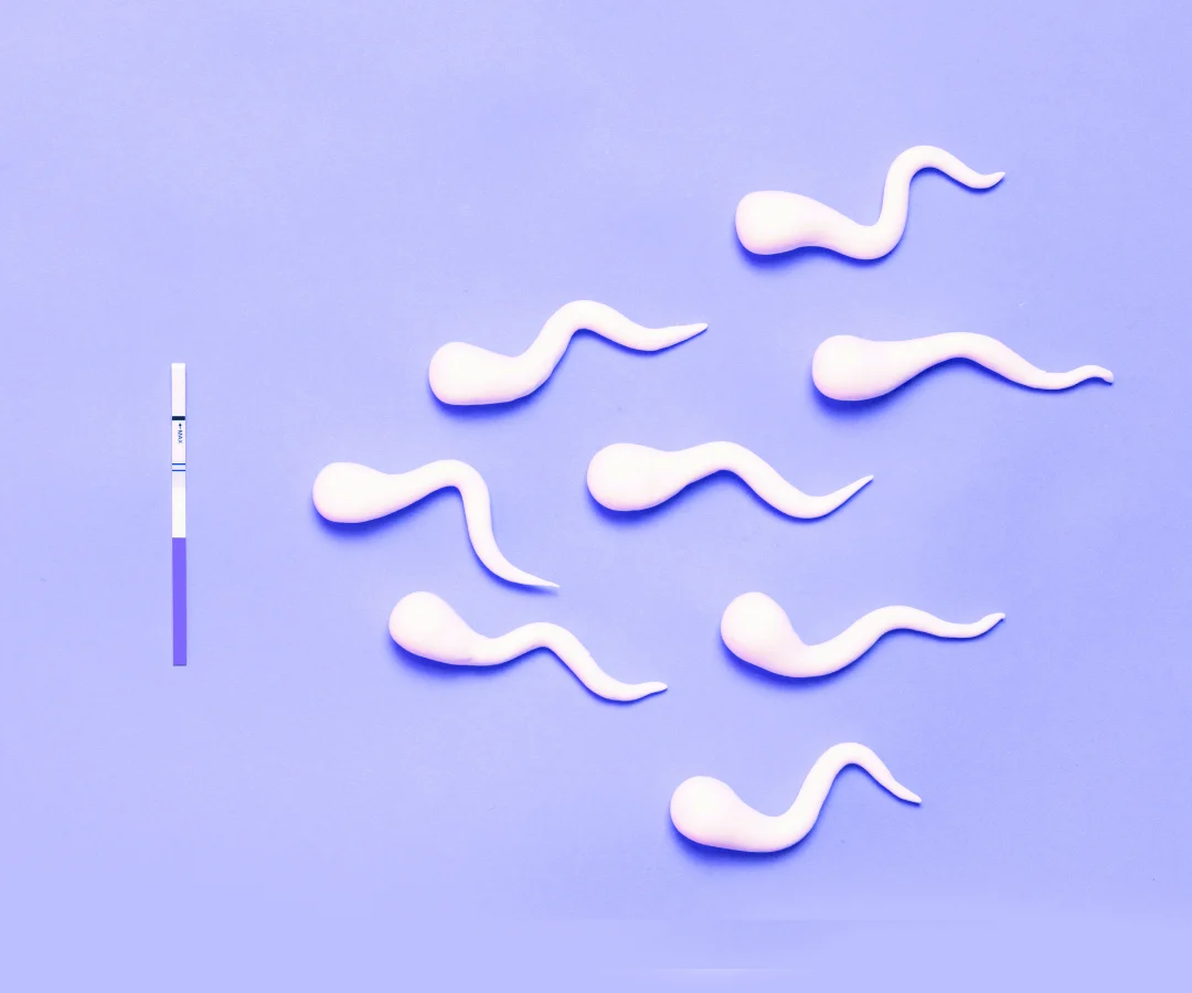 The Essential Role of Reproductive Mental Health Professionals in Modern Fertility Care and Family Building