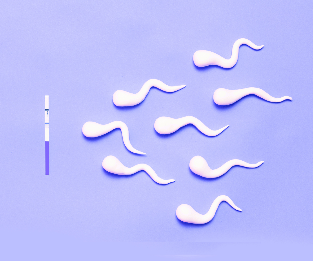 The Integration of Reproductive Mental Health Professionals in Modern Fertility Care: Addressing the Psychological Dimensions of Family Building