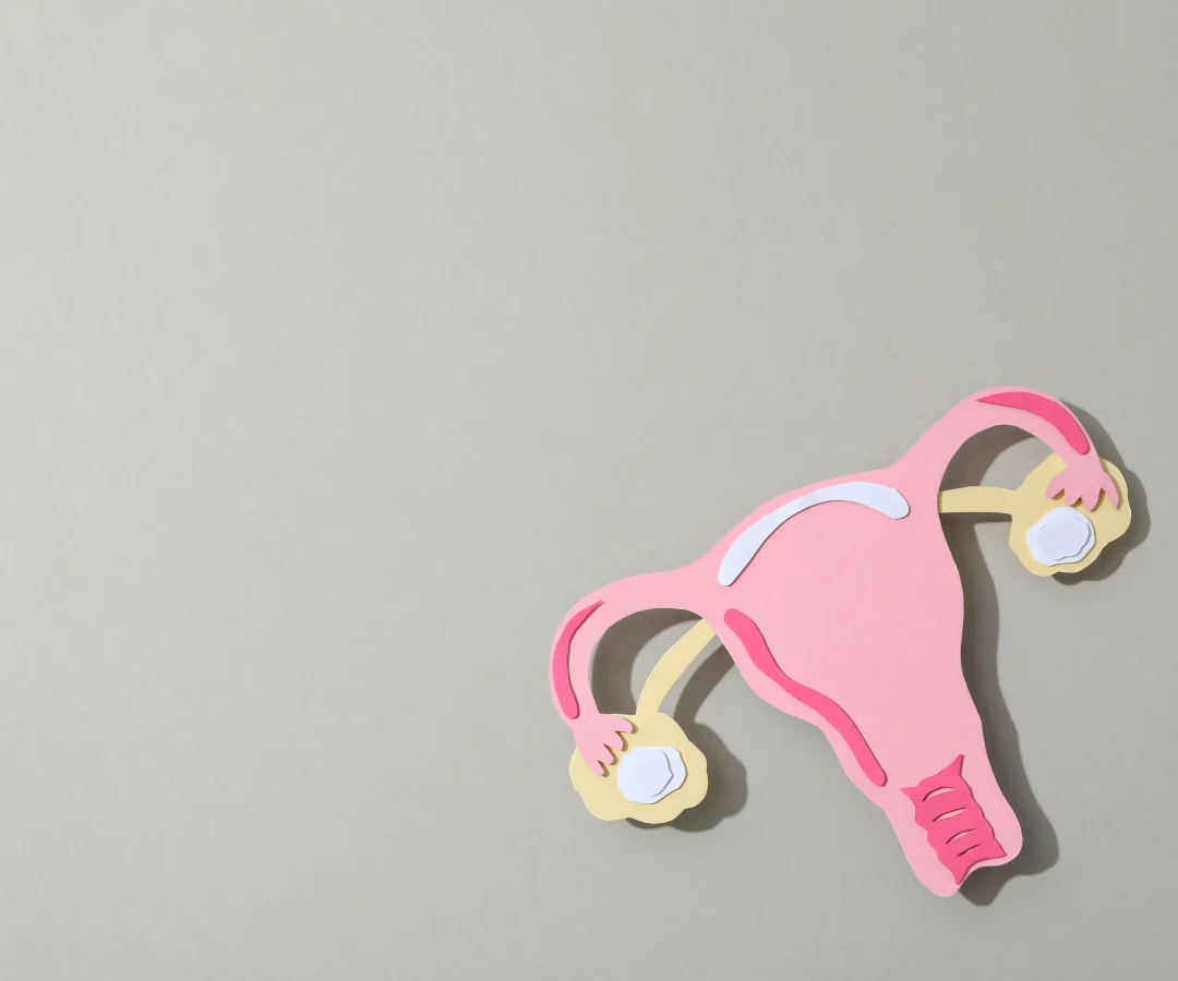 The Evolution of Reproductive Mental Health: Addressing the Psychological Crisis of Infertility through Specialized Clinical Care