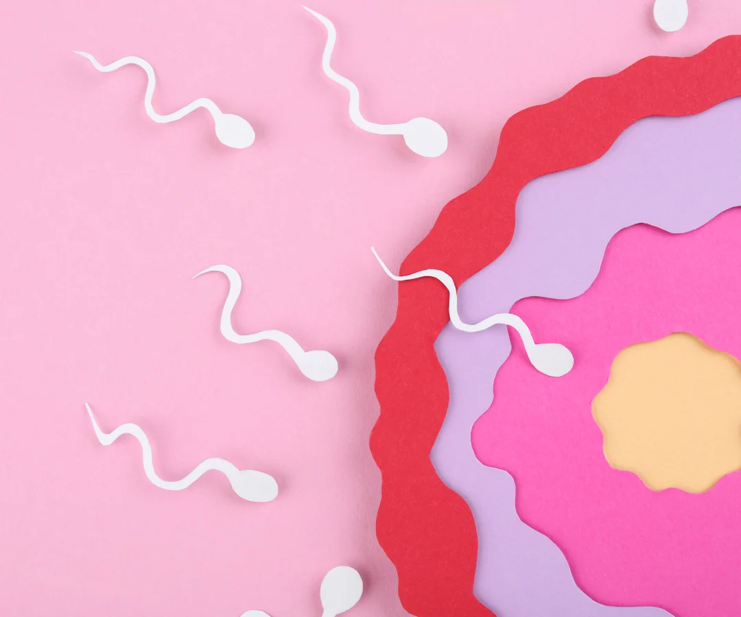 The Invisible Crisis Why Reproductive Mental Health Integration Is the Future of Fertility Care