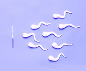 The Role of Reproductive Mental Health Professionals in Fertility Care — Seleni Institute