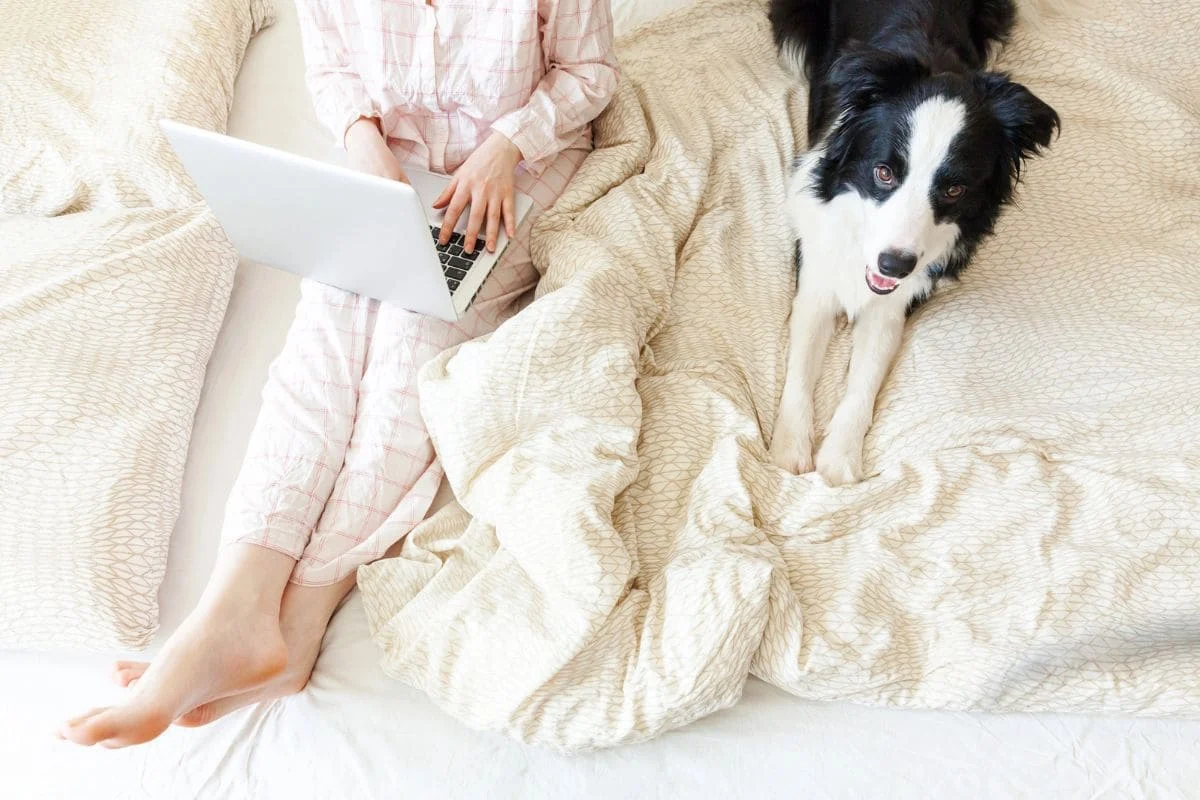 Unlocking the Dream: Exploring Lucrative Avenues to Earn While You Sleep